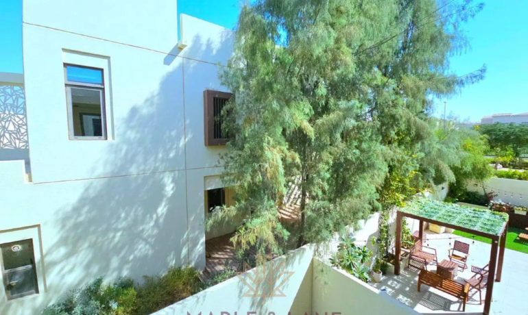 Mira Oasis 3, Mira Oasis